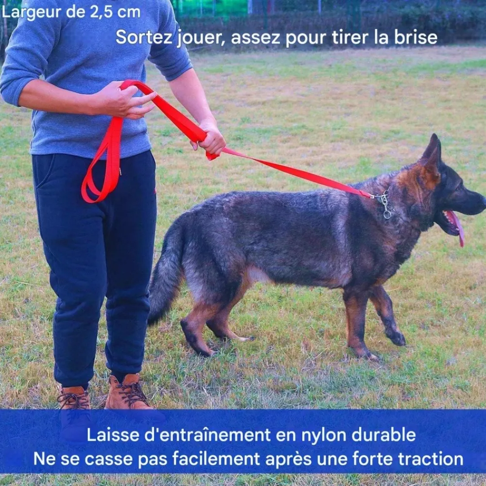 Downypaws - Laisse de dressage pour chien Discount