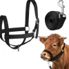Downypaws - Laisse de dressage licol pour cheval Online