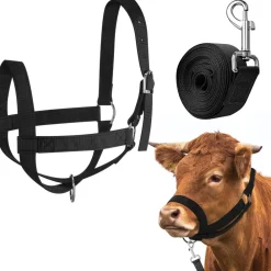 Downypaws - Laisse de dressage licol pour cheval Online