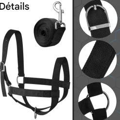 Downypaws - Laisse de dressage licol pour cheval Online