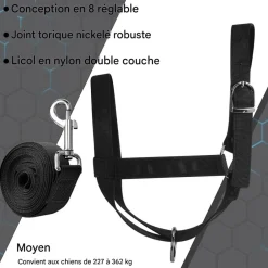 Downypaws - Laisse de dressage licol pour cheval Online