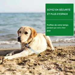 Downypaws Colliers, Laisses Et Vêtements | - Laisse pour chien- boucle à double tête + ressort antidéflagrant - 8 m x 5 mm-fil d'acier étanche