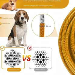 Downypaws Colliers, Laisses Et Vêtements | - Laisse pour chien- boucle à double tête + ressort antidéflagrant - 8 m x 5 mm-fil d'acier étanche