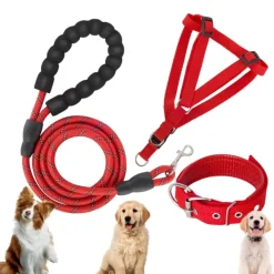 Downypaws Colliers, Laisses Et Vêtements | - Laisse pour chien ensemble rouge trois pièces-corde + collier + harnais de poitrine