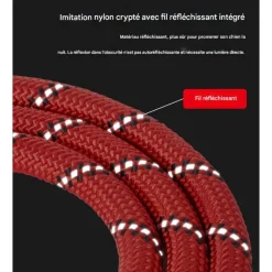 Downypaws Colliers, Laisses Et Vêtements | - Laisse pour chien ensemble rouge trois pièces-corde + collier + harnais de poitrine
