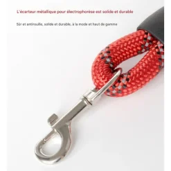Downypaws Colliers, Laisses Et Vêtements | - Laisse pour chien ensemble rouge trois pièces-corde + collier + harnais de poitrine