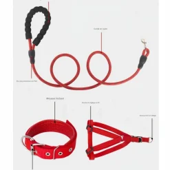 Downypaws Colliers, Laisses Et Vêtements | - Laisse pour chien ensemble rouge trois pièces-corde + collier + harnais de poitrine