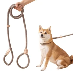 Downypaws Colliers, Laisses Et Vêtements | - Laisse pour chienlaisse de dressage et collier réfléchissants et coulissants en nylon de 180 cm, couleur beige,