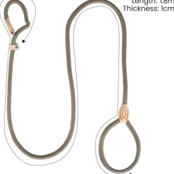 Downypaws Colliers, Laisses Et Vêtements | - Laisse pour chienlaisse de dressage et collier réfléchissants et coulissants en nylon de 180 cm, couleur beige,
