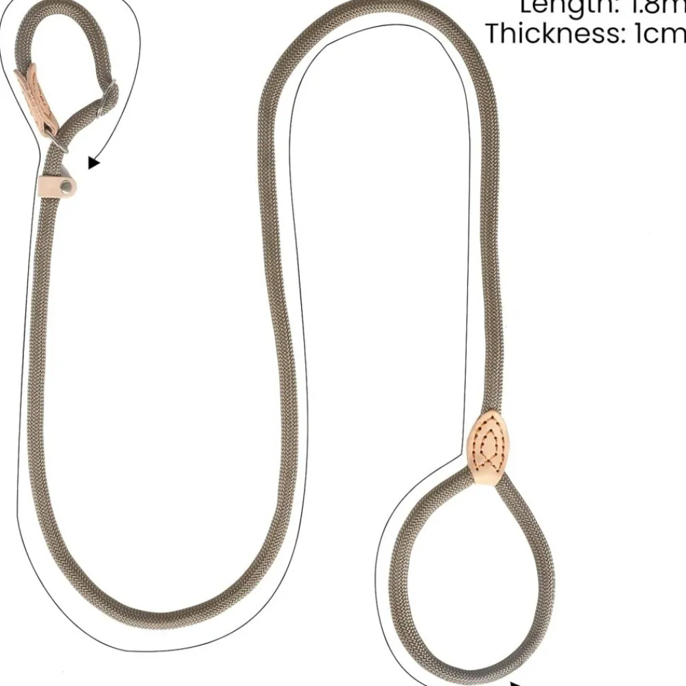 Downypaws Colliers, Laisses Et Vêtements | - Laisse pour chienlaisse de dressage et collier réfléchissants et coulissants en nylon de 180 cm, couleur beige,
