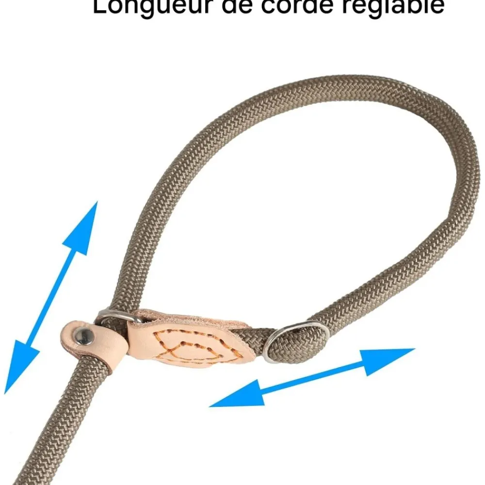 Downypaws Colliers, Laisses Et Vêtements | - Laisse pour chienlaisse de dressage et collier réfléchissants et coulissants en nylon de 180 cm, couleur beige,
