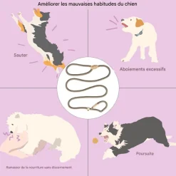 Downypaws Colliers, Laisses Et Vêtements | - Laisse pour chienlaisse de dressage et collier réfléchissants et coulissants en nylon de 180 cm, couleur beige,