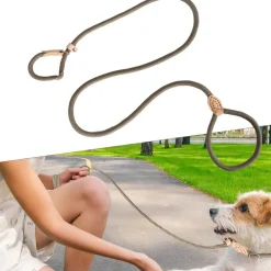 Downypaws Colliers, Laisses Et Vêtements | - Laisse pour chienlaisse de dressage et collier réfléchissants et coulissants en nylon de 180 cm, couleur beige,