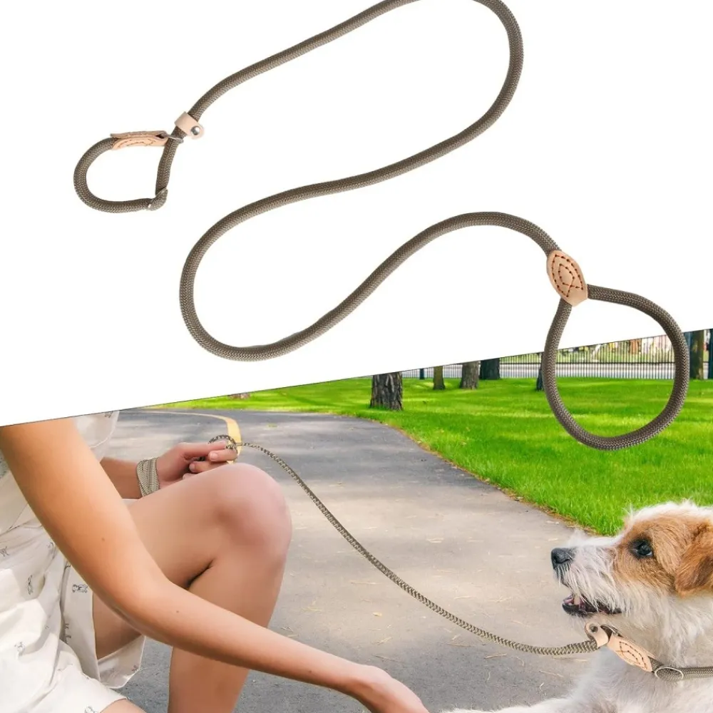 Downypaws Colliers, Laisses Et Vêtements | - Laisse pour chienlaisse de dressage et collier réfléchissants et coulissants en nylon de 180 cm, couleur beige,