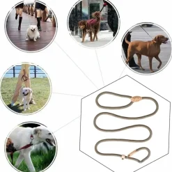 Downypaws Colliers, Laisses Et Vêtements | - Laisse pour chienlaisse de dressage et collier réfléchissants et coulissants en nylon de 180 cm, couleur beige,