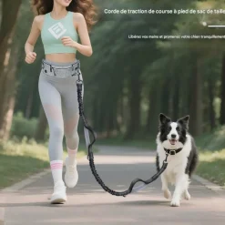 Downypaws Colliers, Laisses Et Vêtements | - Laisse pour chien mains libres-courant - gris-avec sac de rangement