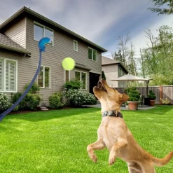Downypaws - Lanceur de balles pour chien paquet de 3-jouets interactifs pour chiens-bleu+rose+vert 60cm Hot