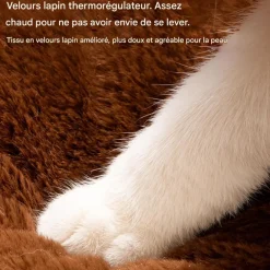 Downypaws - Lit pour chat forme de chat 55*55*32cm New