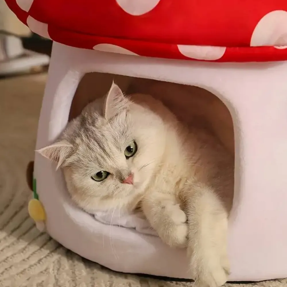 Downypaws - Lits Pour Chat En Forme De Champignon, Vache Et Chocolat Best