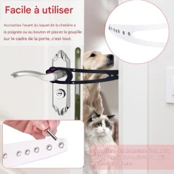 Downypaws Paniers, Transports Et Chatières | - Loquet de porte pour chat
