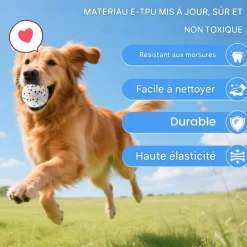 Downypaws Jouets | - Lot de 6 balles jouets pour chien 6.3cm-jouets interactifs à haute élasticité