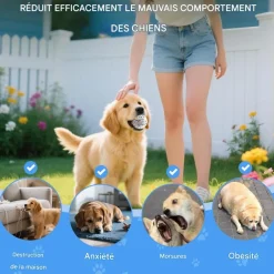 Downypaws Jouets | - Lot de 6 balles jouets pour chien 6.3cm-jouets interactifs à haute élasticité