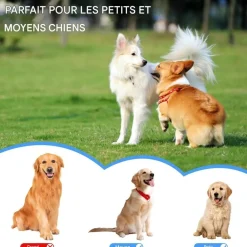 Downypaws Jouets | - Lot de 6 balles jouets pour chien 6.3cm-jouets interactifs à haute élasticité