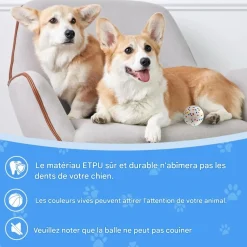 Downypaws Jouets | - Lot de 6 balles jouets pour chien 6.3cm-jouets interactifs à haute élasticité