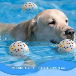 Downypaws Jouets | - Lot de 6 balles jouets pour chien 6.3cm-jouets interactifs à haute élasticité