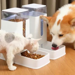 Downypaws - Mangeoire automatique et fontaine à boire pour chiens - grande capacité