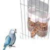 Downypaws - Mangeoire à eau pour oiseaux Discount
