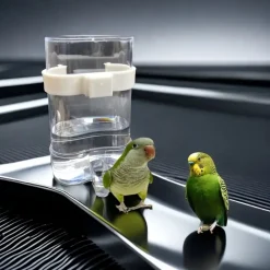 Downypaws - Mangeoire à eau pour oiseaux Discount