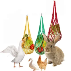 Downypaws - Mangeoire fruits légumes poulet lot 3 60cm Hot