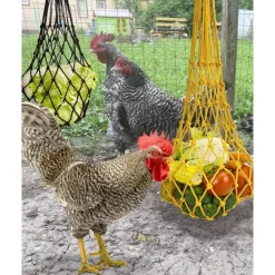 Downypaws - Mangeoire fruits légumes poulet lot 3 60cm Hot