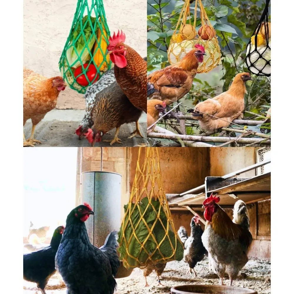 Downypaws - Mangeoire fruits légumes poulet lot 3 60cm Hot