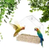 Downypaws - Mangeoire à oiseaux Discount
