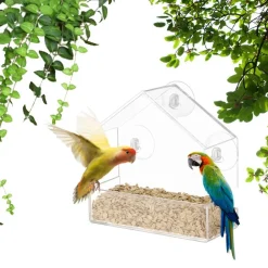 Downypaws - Mangeoire à oiseaux Discount