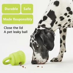 Downypaws - Mangeur lent de chien en silicone médical certifié fda vert clair Discount