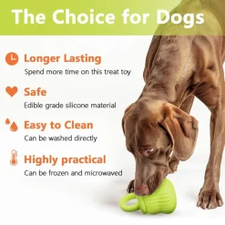 Downypaws - Mangeur lent de chien en silicone médical certifié fda vert clair Discount
