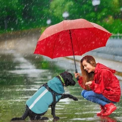 Downypaws Colliers, Laisses Et Vêtements | - Manteau pour chiens-avec harnais-réfléchissant imperméable-vert taille s