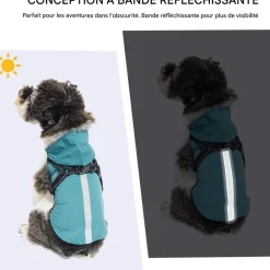 Downypaws Colliers, Laisses Et Vêtements | - Manteau pour chiens-avec harnais-réfléchissant imperméable-vert taille s