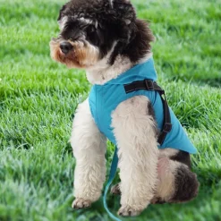 Downypaws Colliers, Laisses Et Vêtements | - Manteau pour chiens-avec harnais-réfléchissant imperméable-vert taille s