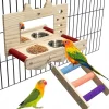 Downypaws - Miroir oiseau - perchoir en bois avec miroir Online