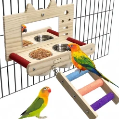 Downypaws - Miroir oiseau - perchoir en bois avec miroir Online