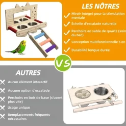 Downypaws - Miroir oiseau - perchoir en bois avec miroir Online