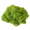 Downypaws - Mousse artificielle à grains fins pour gazon en pot 50 g vert clair Sale