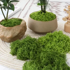 Downypaws - Mousse artificielle à grains fins pour gazon en pot 100 g vert foncé Online