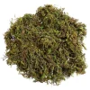 Downypaws Plantes Artificielles | - Mousse sèche naturelle de qualité supérieure 100g