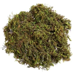 Downypaws Plantes Artificielles | - Mousse sèche naturelle de qualité supérieure 100g