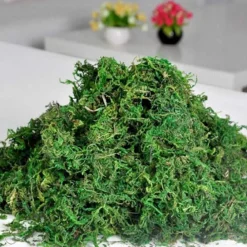Downypaws Plantes Artificielles | - Mousse sèche, qualité supérieure, pour décoration, matériau pour couronnes et miniatures 50g